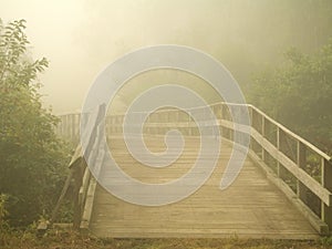 Misty Footbridge