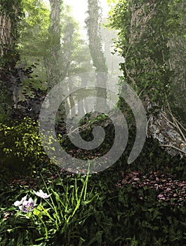 Misty Forest, 3d Computer Graphics