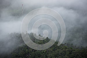 Misty forest , Foggy morning mist in valley beautiful in Thailand Asian - Misty landscape mountain fog and forest tree view on top