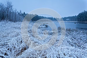 Misty frosty morning on lake