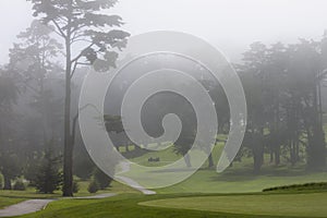 Misty golf course photo