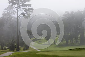 Misty golf course