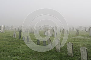 Misty Graveyard photo