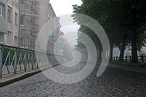 Misty gray stone-paved road surrounded by metal fences, branches of green trees and vague facades of buildings in foggy morning