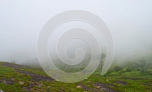 Misty Green Hills - Peerumedu, Idukki District, Kerala, India - Natural Background photo