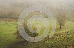 Misty green meadow field landscape view