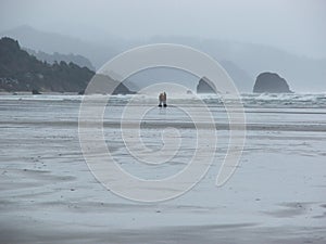 Misty Grey Beach Scene Oregon Coast Cannon Beach