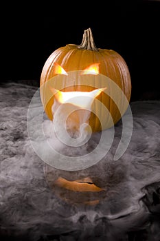 Misty Jack-o-Lantern 3