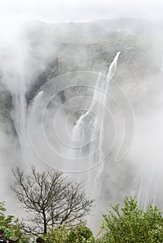 Misty Jog waterfalls in Karnataka in south of India