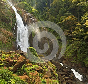 Misty Jungle Waterfall photo