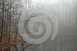 Misty Lake photo