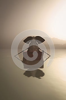 Misty lake boat elephant