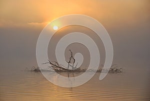 Misty Lake at Sunrise