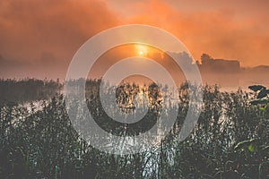 Misty lake sunrise