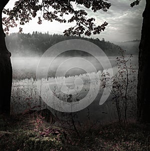 Misty lake surrounded by lush foliage trees.