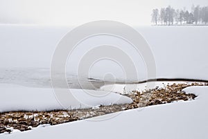 Misty landscape