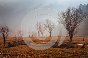 Misty landscape in Catalan Pyrenees