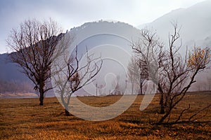 Misty landscape of Catalonia in winter morning