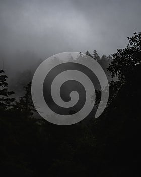 Misty landscape with a forest covered with fog under dark storm clouds