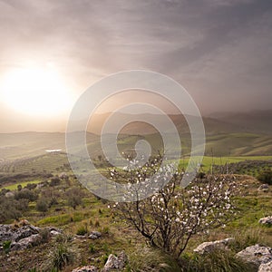 Misty Landscape Of Sicilian Hinterland photo