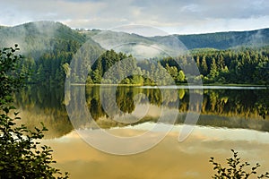 Misty landscape in SÃ¶sestausee