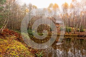 Misty late fall landscape, wild lake in the autumn forest with reflection in the calm water