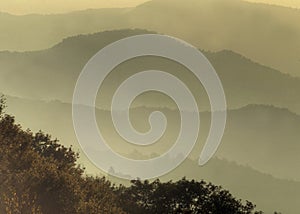 Misty layers of The Great Smoky Mountains in dawn light.