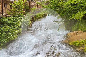 Misty Magic of Plava Voda Spring, Travnik