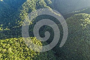 Misty Mayan Mountains in Central America