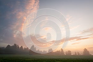 Misty meadow at dawn