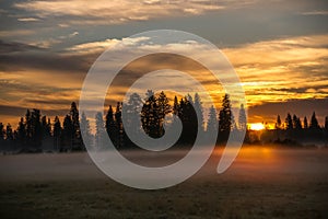 Misty Meadow at Sunrise