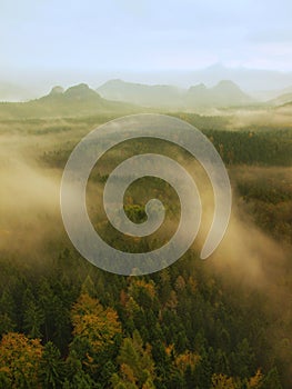 Misty melancholic morning. View over birch tree to deep valley full of heavy mist. Autumn landscape within daybreak.