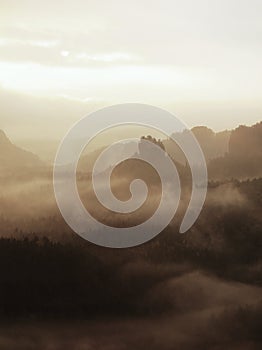 Misty melancholic morning. View over birch tree to deep valley full of heavy mist. Autumn landscape within daybreak.