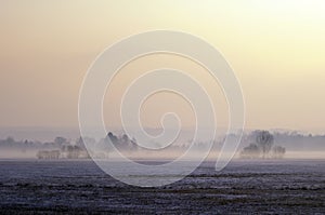 Misty moor landscape photo