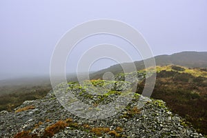 Misty Moorland Landscape of West Central Scotland