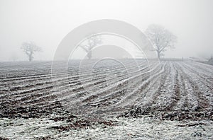 A morning in winter a plough field and trees in the mist.in Abeenshire,Scotland,UK. photo