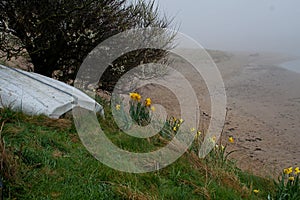 Misty morning, Alnmouth beach, Northumberland