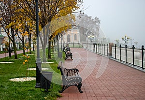 A misty morning autumn landscape, an old park foggy alley. Great oak tree city park alley