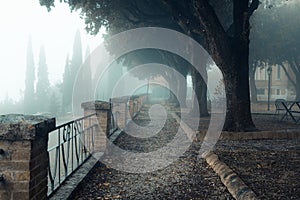 A misty morning autumn landscape, an old park foggy alley.