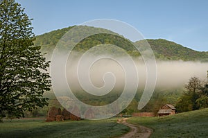 Misty morning in banat mountains,romania