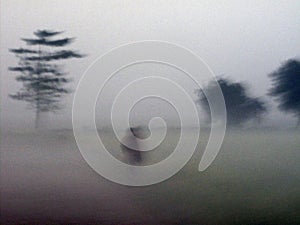 Misty morning in the Bengal countryside in Sundarbans jungle area, West Bengal