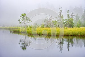 Misty morning at a bog lake with water reflections