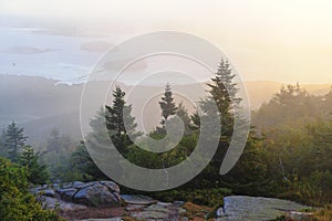 Misty morning Cadillac Mountain