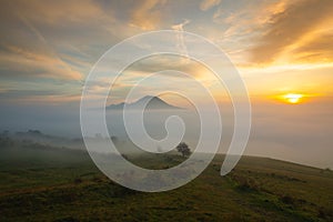 Misty morning in Central Bohemian Highlands, Czech Republic