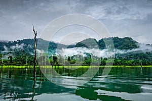Misty morning on Cheow Lan Lake, Khao Sok National Park, Thailand