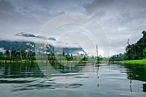 Misty morning on Cheow Lan Lake, Khao Sok National Park, Thailand