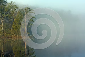 Misty morning on College Creek in Virginia