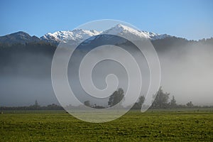 Misty morning on the farm