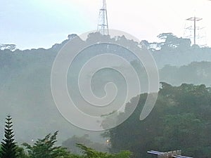 Misty morning in forest - aerial view