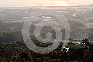 misty morning at forest Indonesian